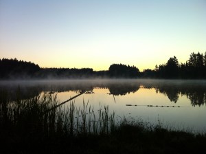 Lakeshore Retreat, Olympia Washington